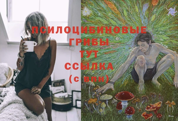 альфа пвп Баксан