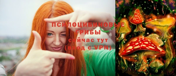 ALPHA PVP Аркадак
