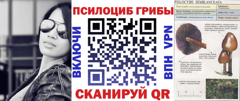 Псилоцибиновые грибы мицелий  Гуково 
